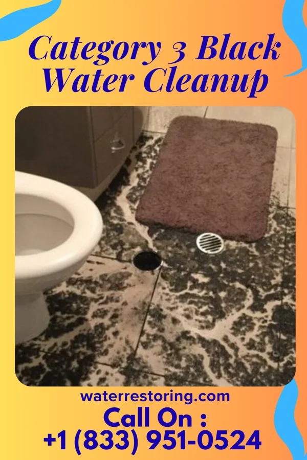 Category 3 Black Water Cleanup in Lebanon, IN
