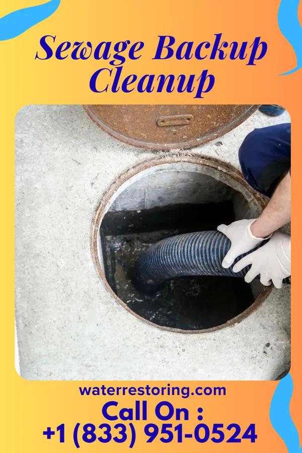 Sewage Backup Cleanup in Lebanon, IN