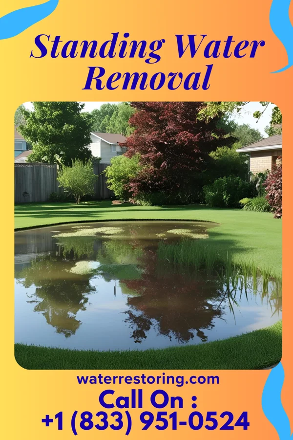 Standing Water Removal in Lebanon, IN